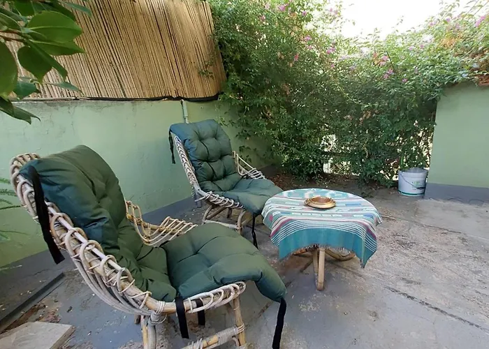 Zarinu 奥尔戈索洛