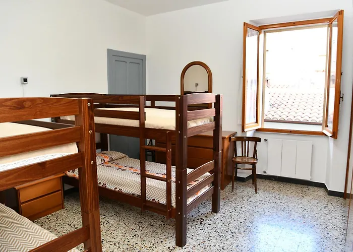 Zarinu オルゴーゾロ