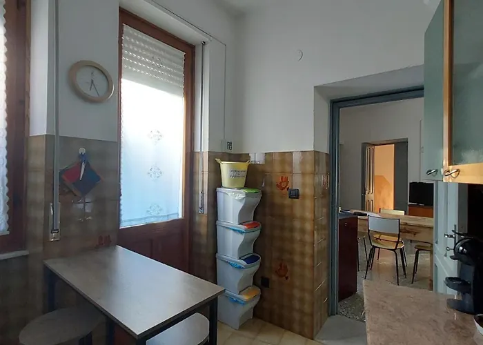 Zarinu * オルゴーゾロ