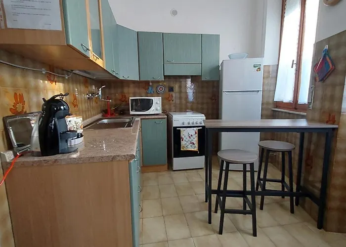 Zarinu * オルゴーゾロ