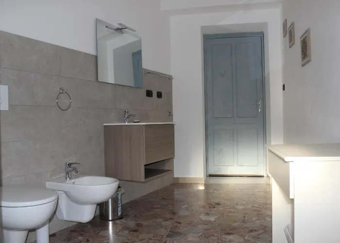 Zarinu オルゴーゾロ